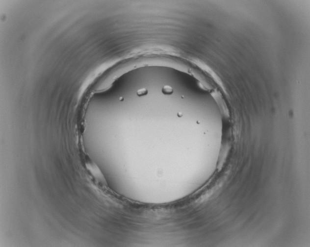 X0000078310973200611251529