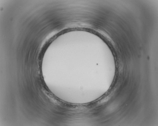 X0000078310974200611251529