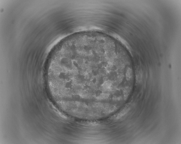 X0000078310975200611251529