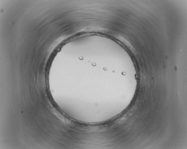 X0000078310976200611251529