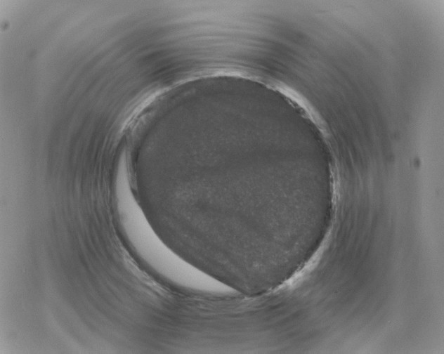 X0000078310977200611251529