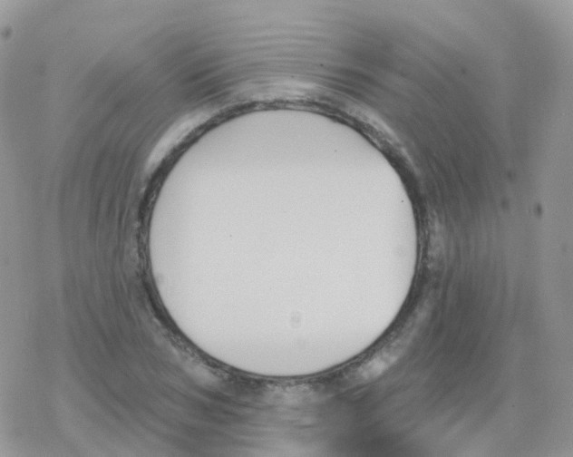 X0000078310978200611251529