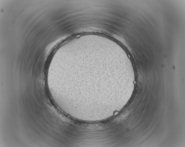 X0000078310979200611251529