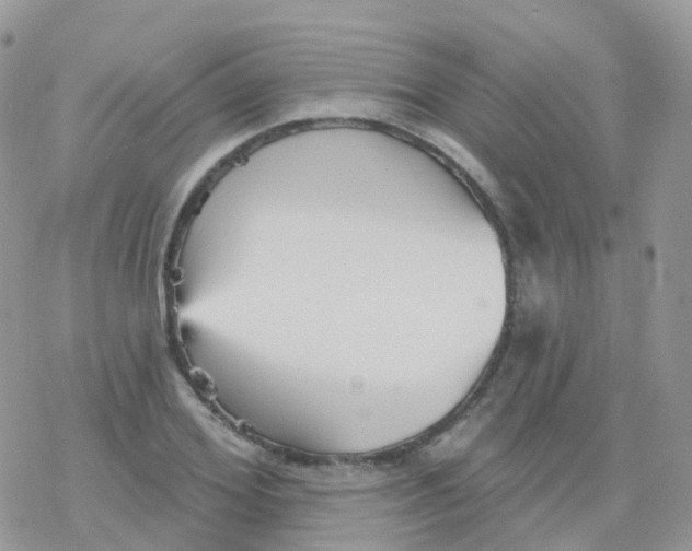 X0000078310980200611251529