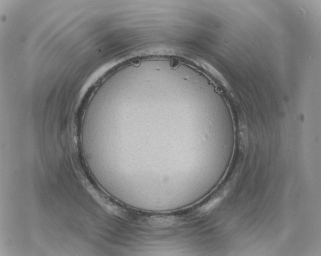 X0000078310981200611251529