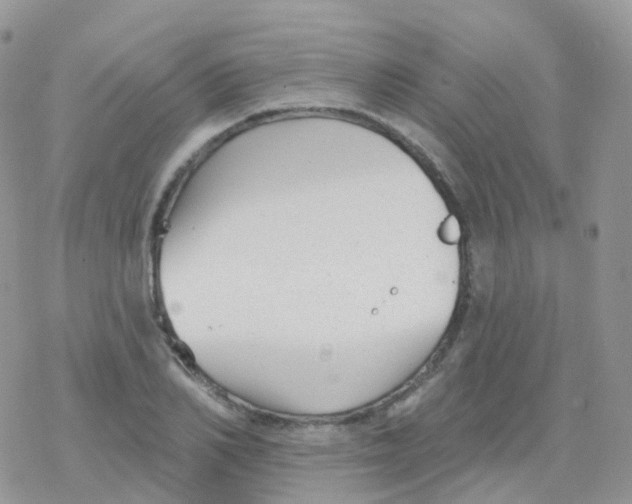 X0000078310982200611251529