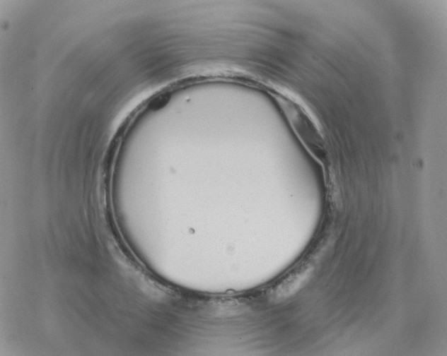 X0000078310983200611251529