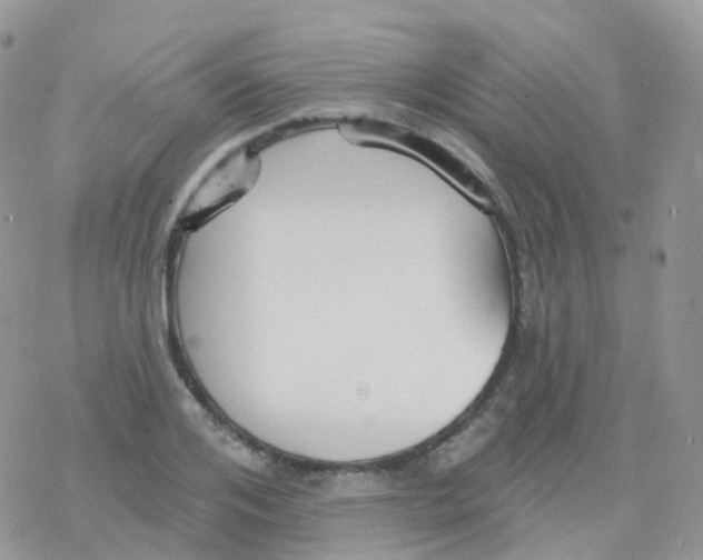 X0000078310984200611251529