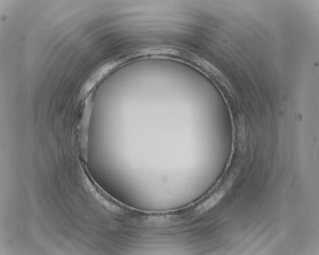 X0000078310985200611251529