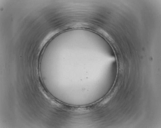 X0000078310986200611251529