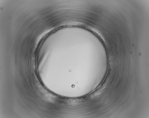 X0000078310987200611251529