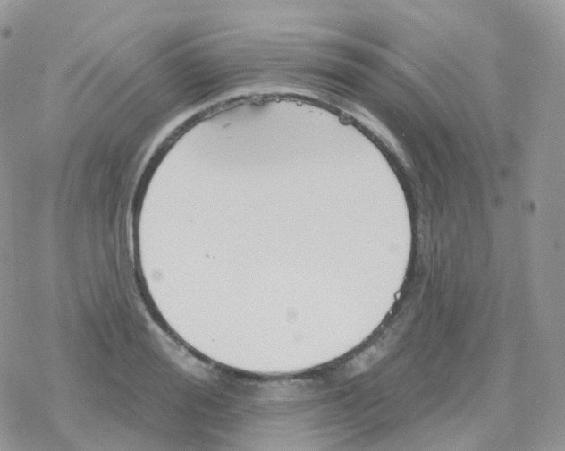 X0000078310988200611251529