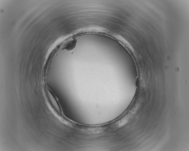 X0000078310989200611251529