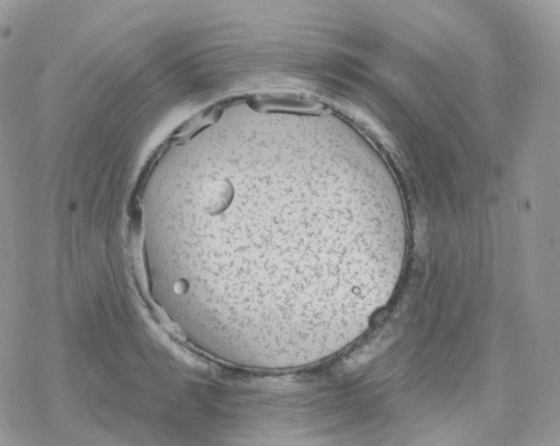 X0000078310990200611251529