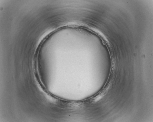 X0000078310991200611251529