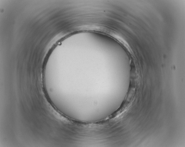 X0000078310992200611251529