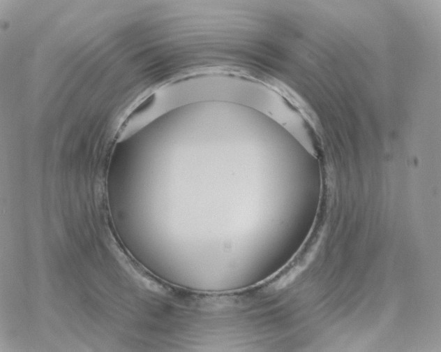 X0000078310993200611251529