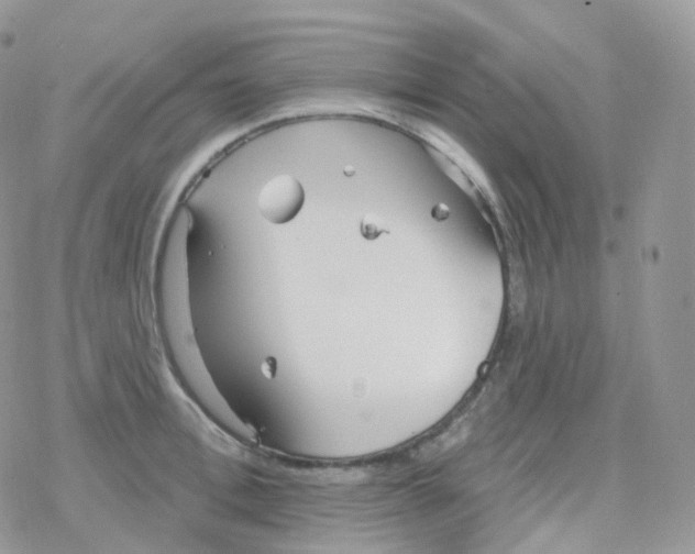 X0000078310996200611251529