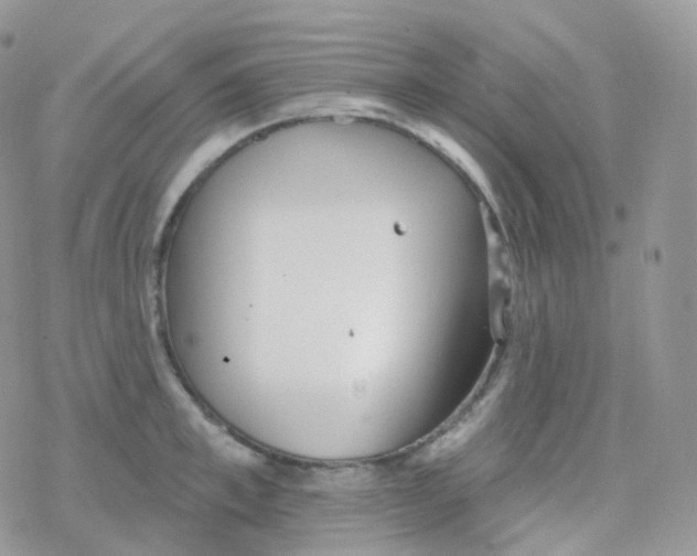 X0000078310997200611251529