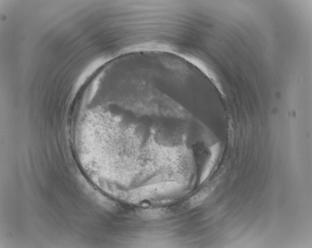 X0000078310998200611251529