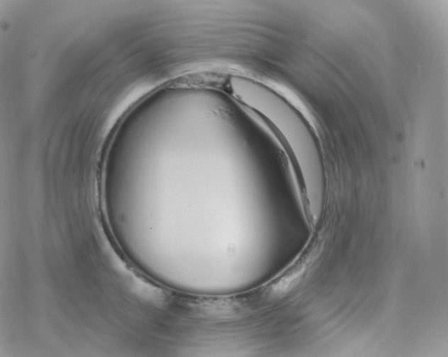 X0000078310999200611251529