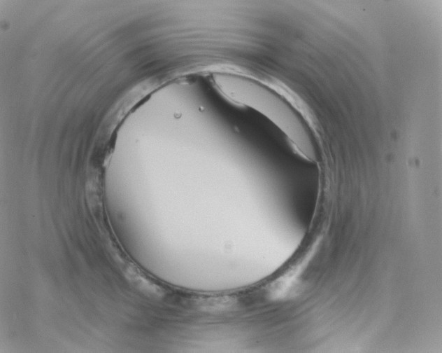 X0000078311001200611251529