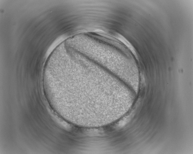 X0000078311002200611251529