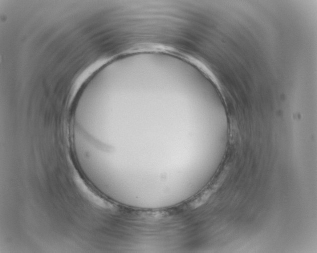 X0000078311003200611251529