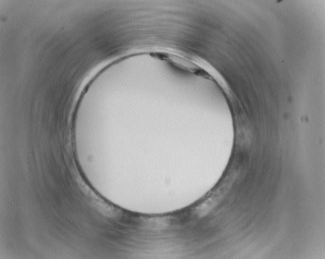 X0000078311004200611251529