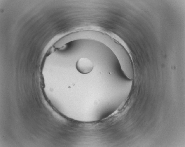 X0000078311005200611251529