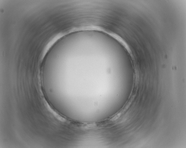 X0000078311006200611251529