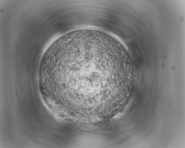 X0000078311007200611251529