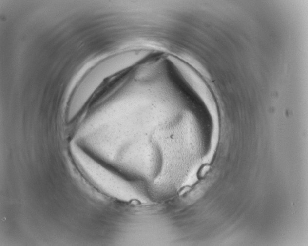 X0000078311008200611251529