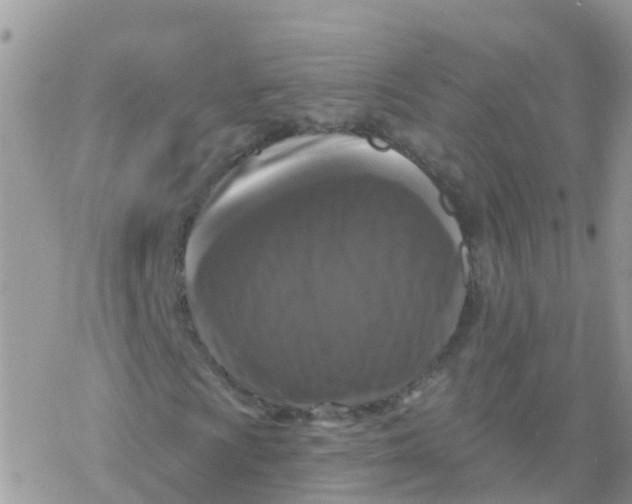 X0000078311009200611251528