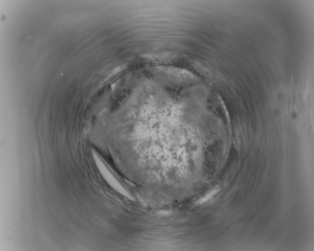 X0000078311010200611251528