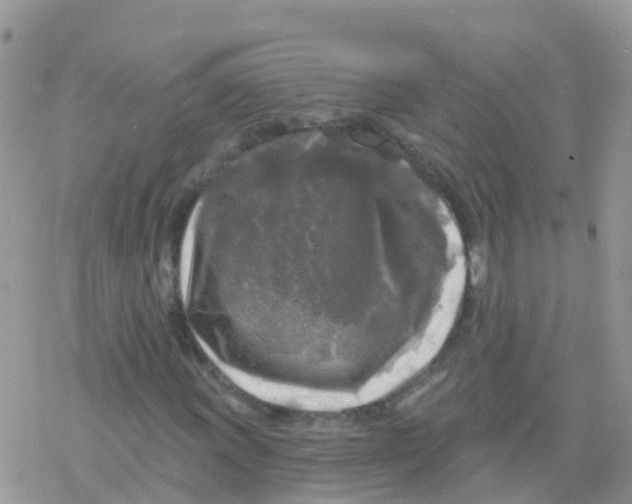 X0000078311011200611251528