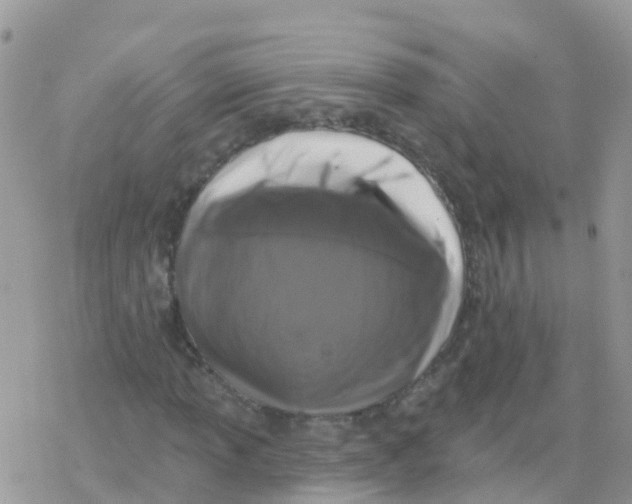 X0000078311013200611251528