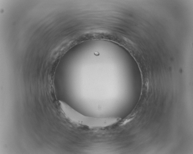 X0000078311014200611251528