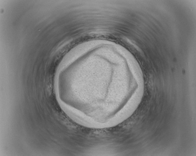 X0000078311015200611251528