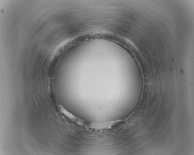 X0000078311016200611251528