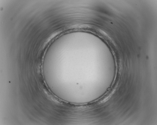 X0000078311017200611251528