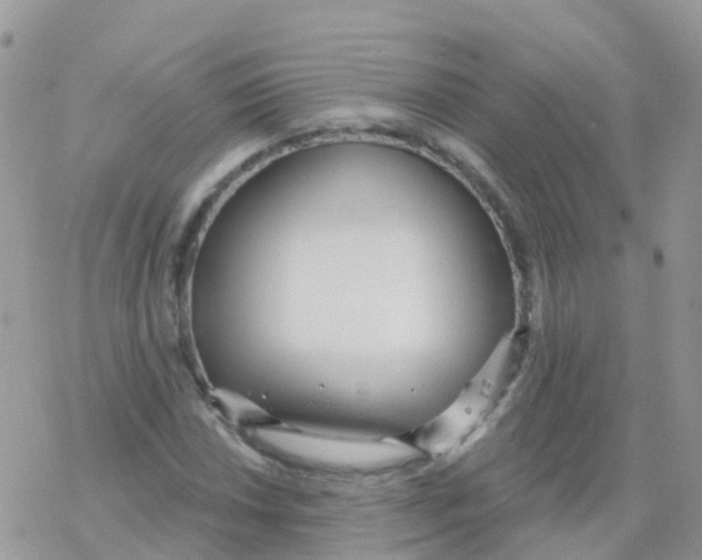 X0000078311018200611251528