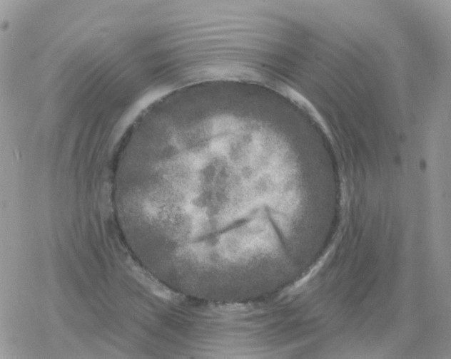 X0000078311019200611251528