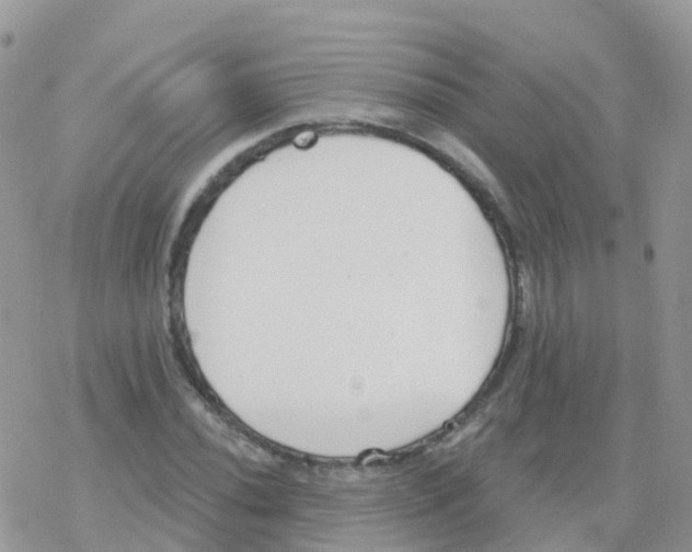 X0000078311020200611251528