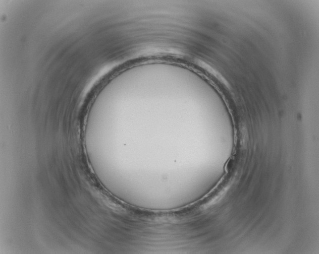 X0000078311021200611251528