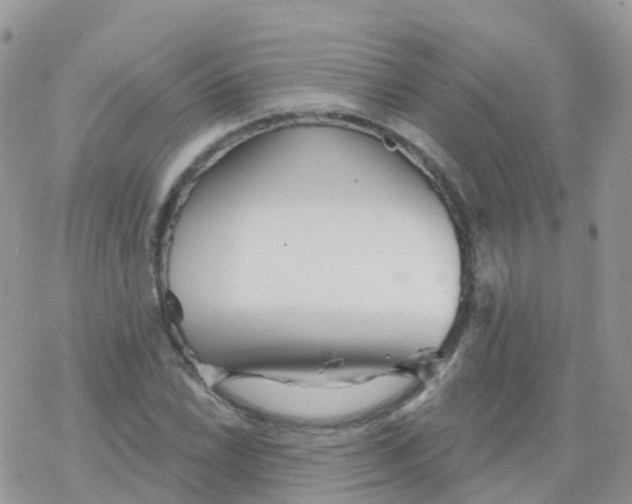 X0000078311022200611251528