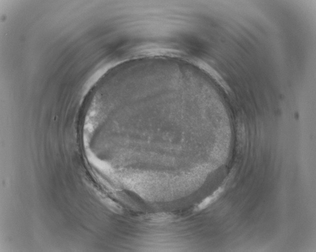 X0000078311023200611251528