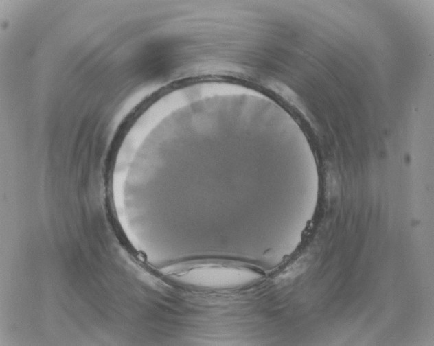 X0000078311024200611251528