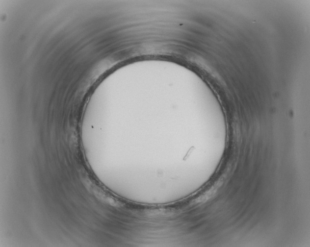 X0000078311025200611251528