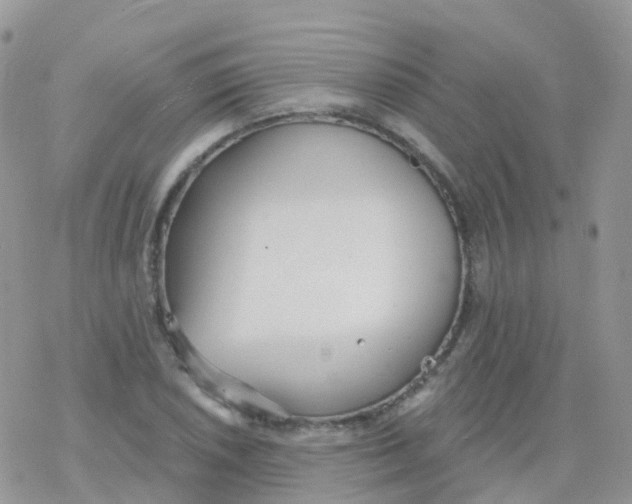 X0000078311026200611251528